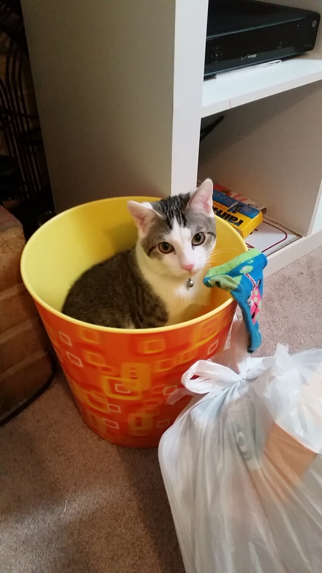 节奏的艺术，德罗赞节拍器式掌控力，助北京队冲垮独行侠快打旋风