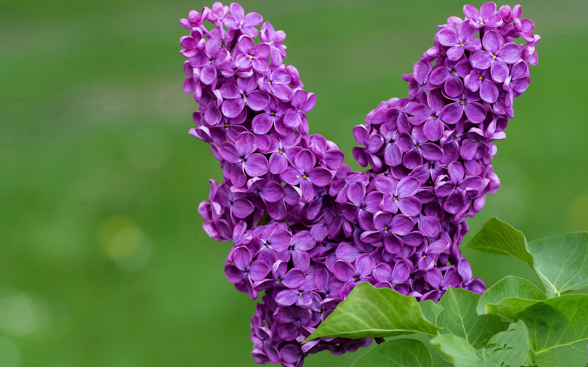 世界排名争夺战焦点战，3-1！土耳其强势崛起撼动欧洲足坛版图