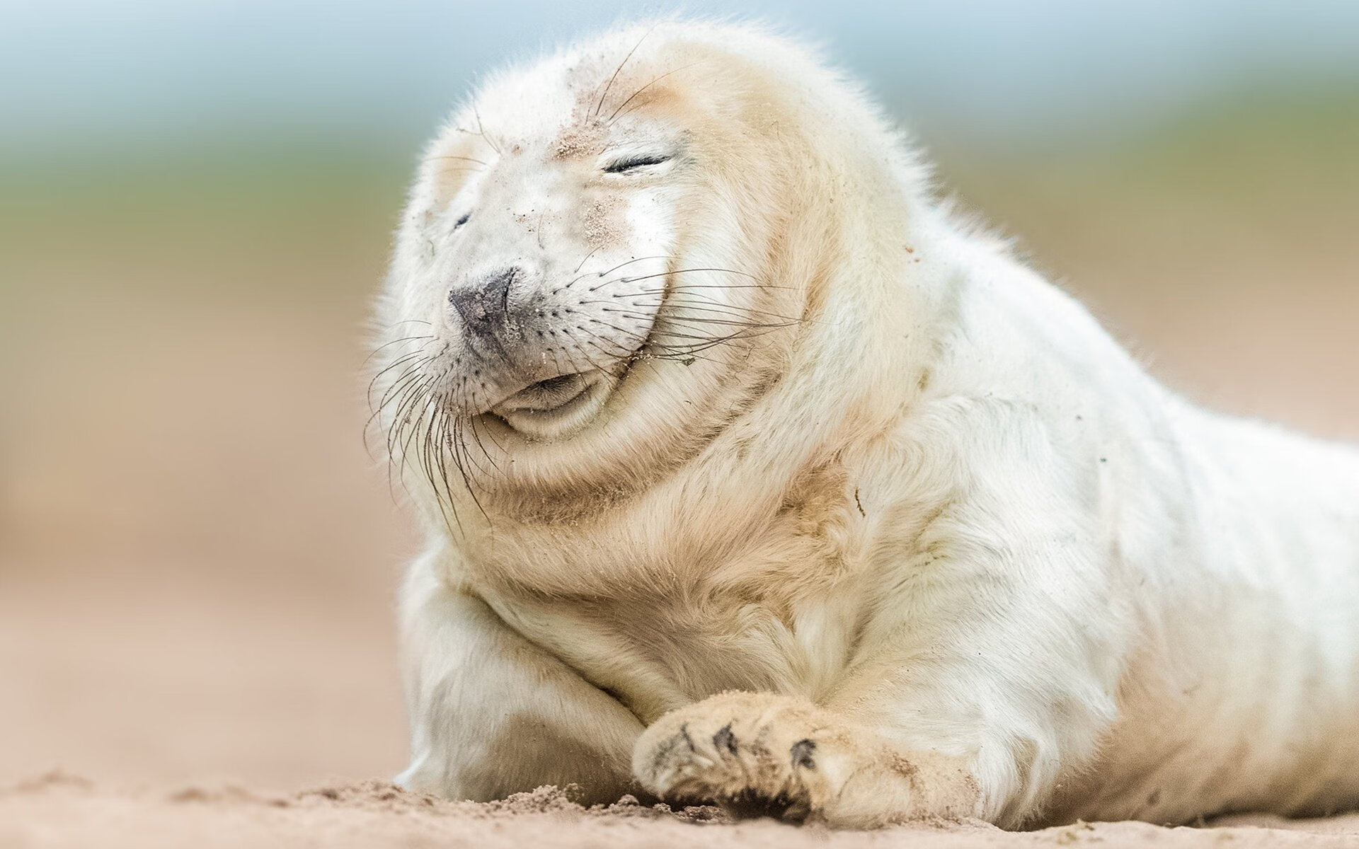 绝杀交响曲，拉什福德一锤定音，尼日利亚上演黑色闪电