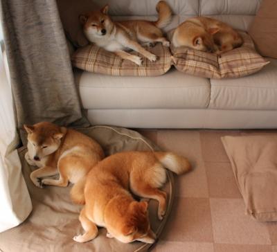 开云体育官网-世界级弯道与绝杀弧线，当F1的极限压肩遇见篮球的终极制导