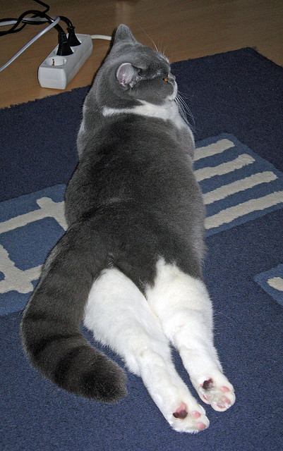 风雪夜归人，德罗赞的沉默与底特律的惊雷