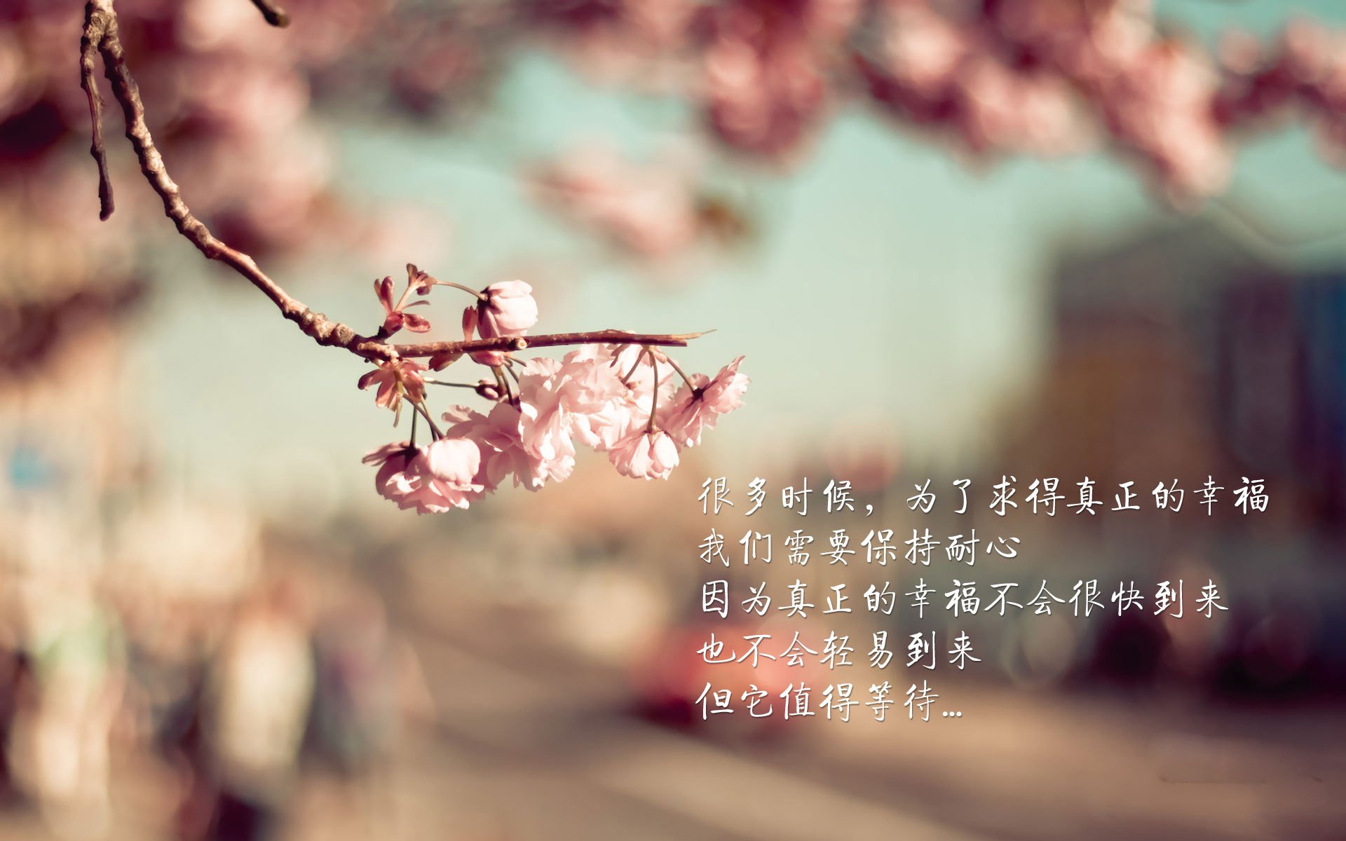 跨界施压,澳大利亚如何强压皇马,李刚仁成为关键先生