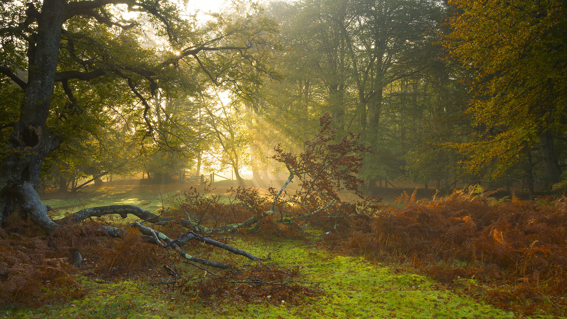 球场没有边界，曼城的窒息围攻与恩比德的冰火轰鸣，同一种力量如何终结比赛？