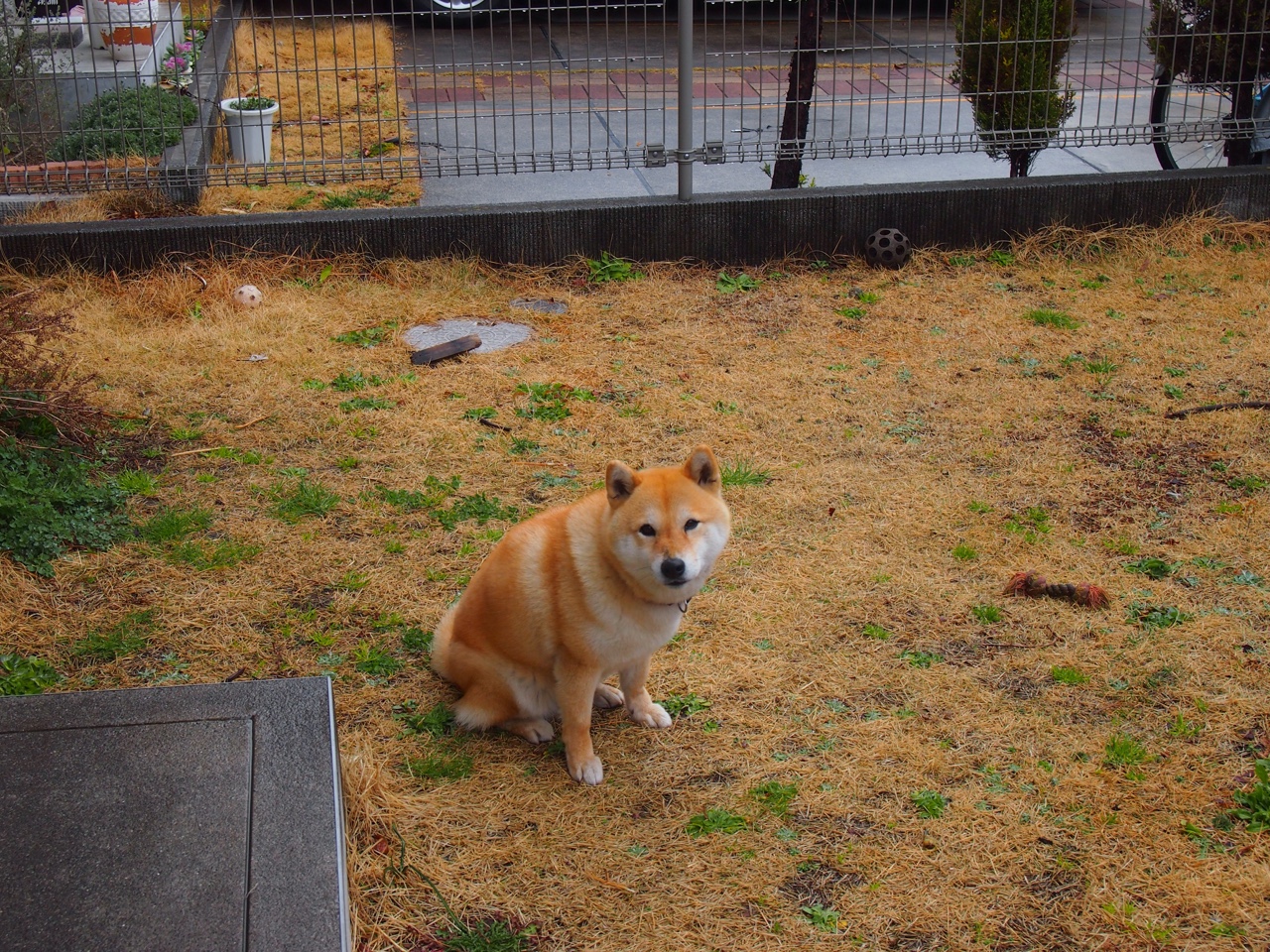 不坠的星辰与致命一击，足球世界中的恒定美学与刹那审判