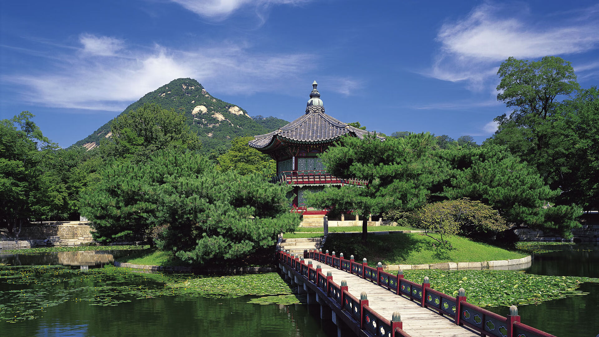 开云体育app-背水一战黄蜂终显血性 星光照耀东契奇虽败犹荣