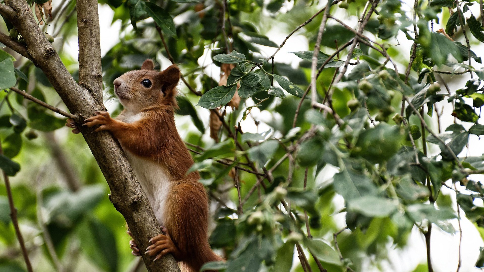 开云sport-极速狂飙，从F1街道赛焦点战到勇士速胜鹈鹕的竞技美学