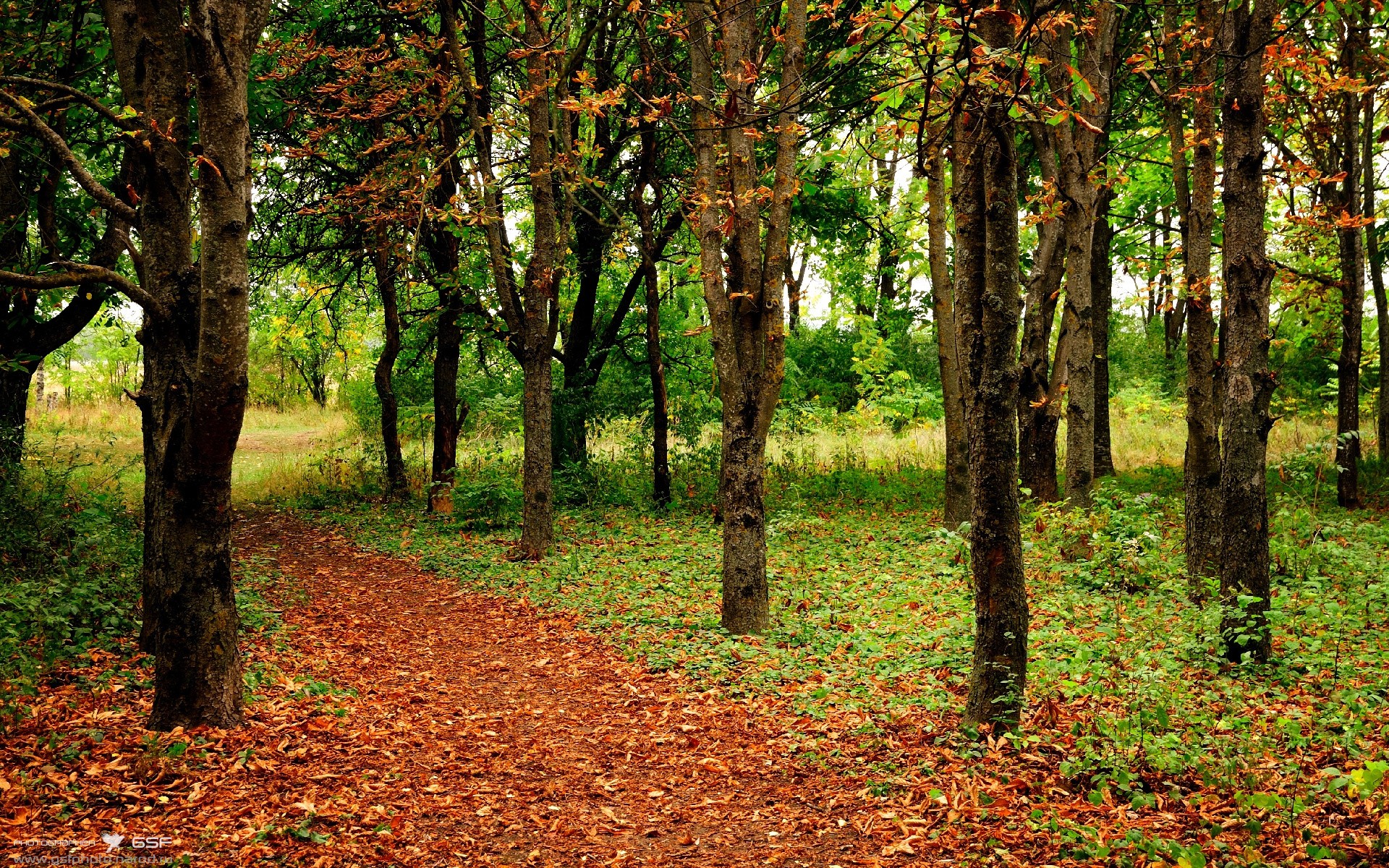 跨界巅峰对决，勇士在欧冠式淘汰赛中惊险击败辽宁队