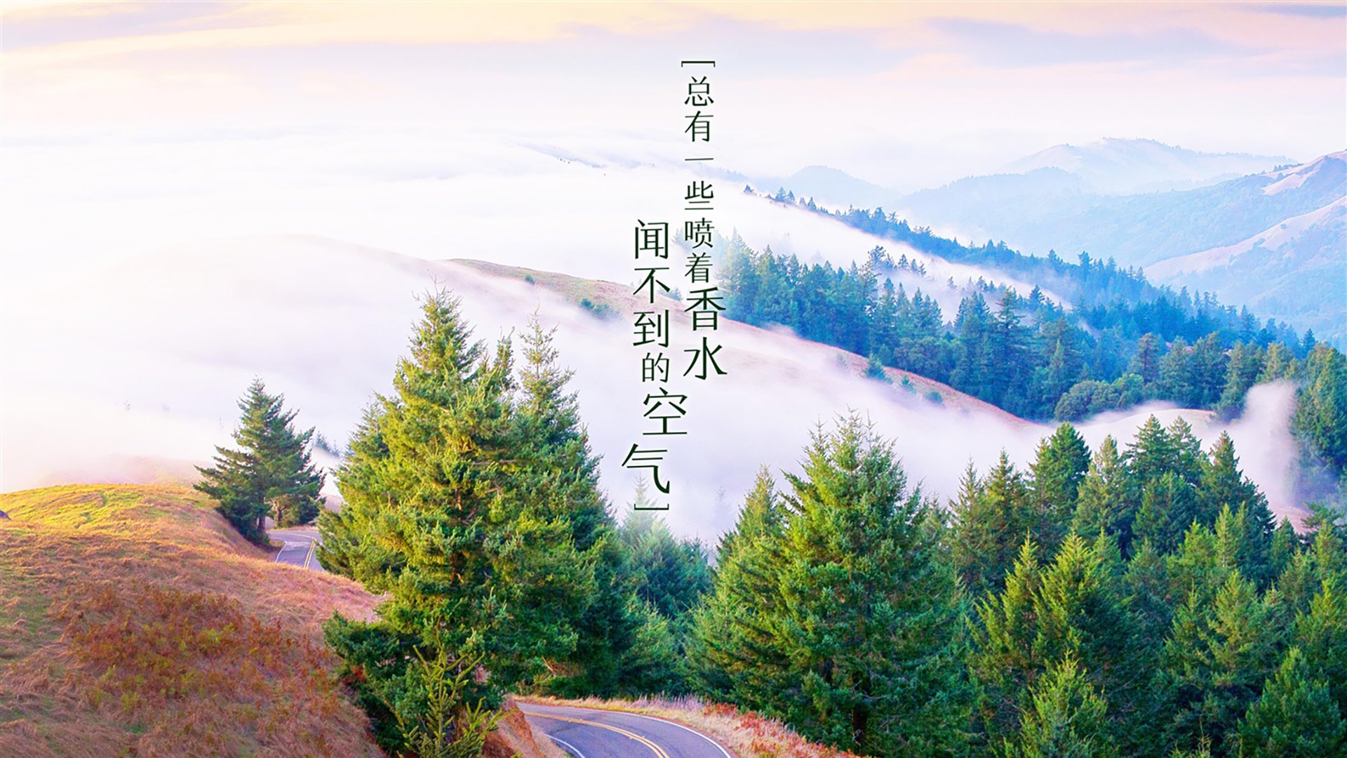 开云sport-绝版之战，罗德里戈的孤星与德国的钢铁洪流