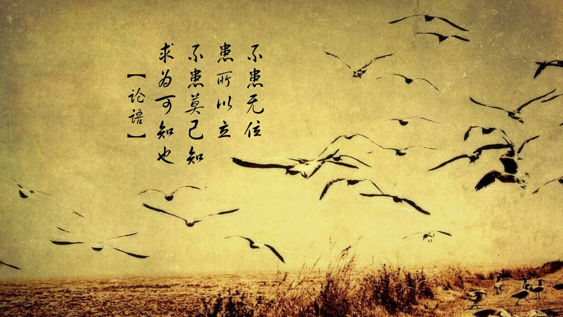 1.王座之下的铁幕，2026世界杯C组，阿根廷险胜智利，范戴克铸就橙色长城，反击利刃刺破潘帕斯苍穹（意象丰富，强对比）