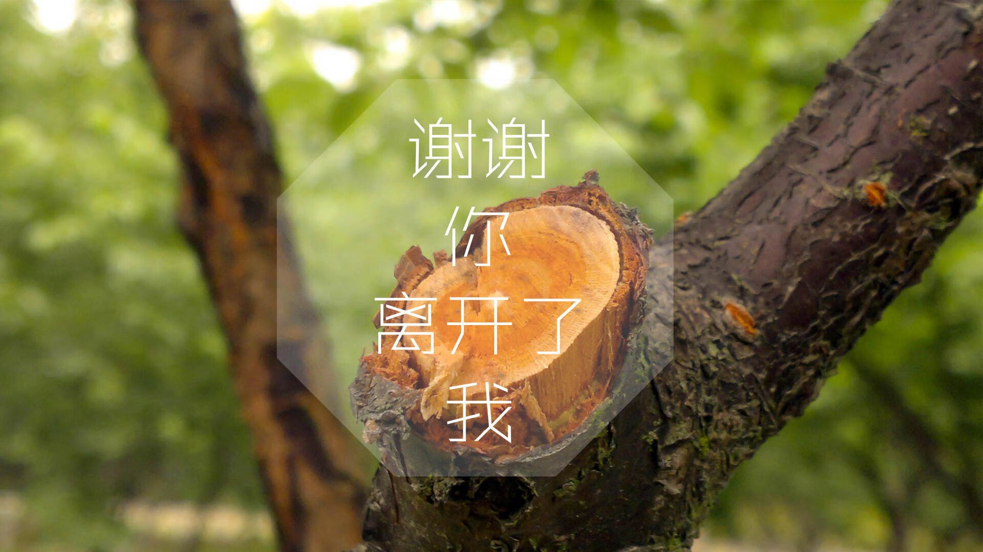 开云体育登录-宿命罗生门，2026世界杯F组生死战，阿根廷碾压智利复仇，穆西亚拉独造三球成破咒之神