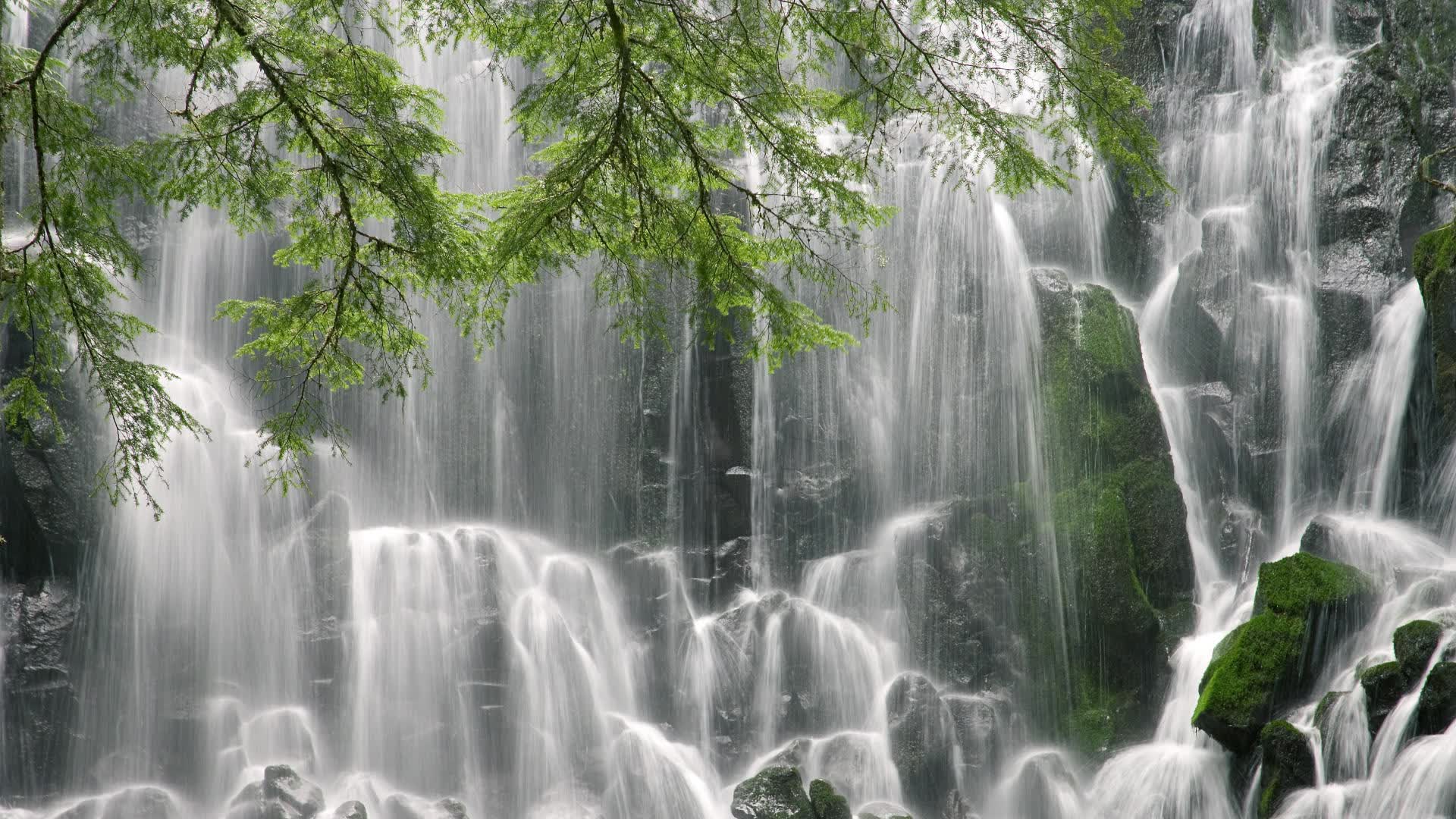 黄金战象的阶梯,当泰国足球的精密齿轮碾过秘鲁防线,内马尔以个人英雄主义为王座加冕